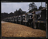 New River Marine Base, motor detachment, North Carolina (LOC) by The Library of Congress
