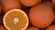 Farmers Markets: Look for Page and Lee mandarins