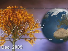Watching Earth Breathe: the Seasonal Vegetation Cycle and Carbon Dioxide