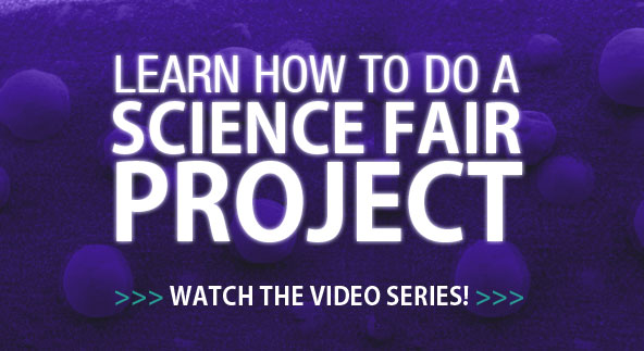 Learn How to Do a Science Fair Project