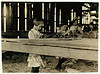 Interior of tobacco shed, Hawthorn Farm. Girls in foreground are 8, 9, and 10 years old. The 10 yr. old makes 50 cents a day. 12 workers on this farm are 8 to 14 years old, and about 15 are over 15 yrs. Location: Hazardville, Connecticut. (LOC) by The Library of Congress