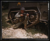 A young soldier of the armored forces holds and sights his Garand rifle like an old timer, Fort Knox, Ky. He likes the piece for its fine firing qualities and its rugged, dependable mechanism. Infantryman with halftrack (LOC) by The Library of Congress