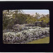 "Glen Oaks," James Hobart Moore house, East Valley Road, Montecito, California. (LOC)