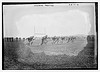 Harvard practice (LOC) by The Library of Congress