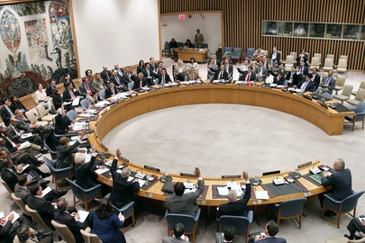 United Nations Security Council