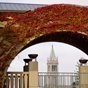 UCBerkeleyHaas