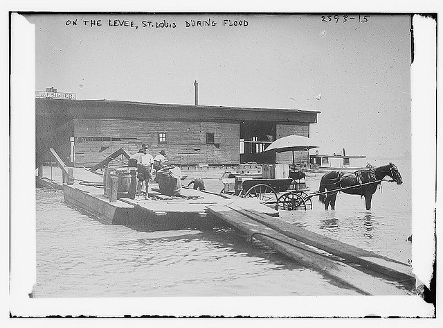 On the levee, St. Louis, during flood (LOC)