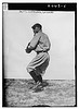 [Charles B. "Goldie" Betts, Cleveland AL, Spring catcher & outfielder prospect (baseball)] (LOC) by The Library of Congress