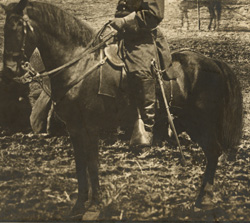 Detail of horse in photo captioned General Grant at City Point