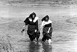Nuns clamming on Long Island.