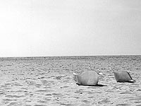 Fiberglass chair shells on beach