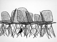 Advertising Design for Wire Chairs with the Eameses' Bird Sculpture