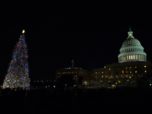 Capitol Grounds staff maneuvers the massive Capitol Christmas tree into place on the West Front Lawn of the Capitol.