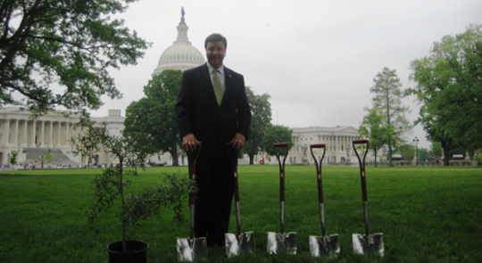 Rogers Attends Toomer's Oak Planting feature image