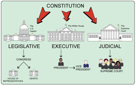 Diagram:  Branches of Government