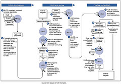 Figure 4: GAO Analysis of HUD Processes for Updating the HUD Code