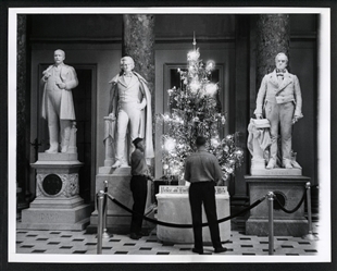 Christmas Tree at the Capitol