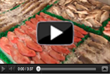 Serving Seafood - (VIDEO FEATURE)