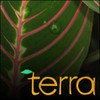 TERRA: The Nature of Our World