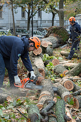 Hurricane Sandy Clean-up