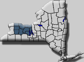 fingerlakes region of NY