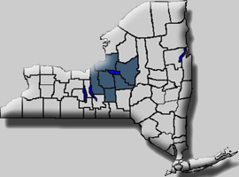 central region of NY