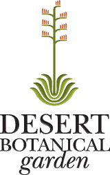 Dbg-logo