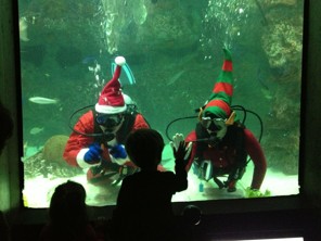 Santa and friends (two elves and a reindeer) came early to National Aquarium, Baltimore, today to visit the fishes and give them treats. They even played a few 'reindeer games' while in the Atlantic Coral Reef exhibit.