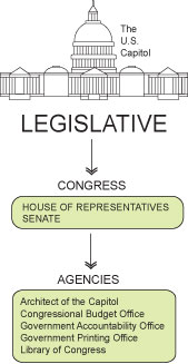 The Legislative Branch