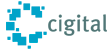 Cigital_OWASP.GIF