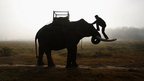 A mahout climbs his elephant as he heads towards the Chitwan National Park at Sauraha in Chitwan