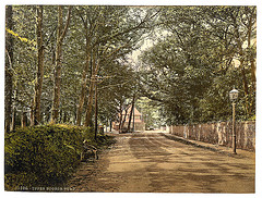 [Upper Bognor Road, Bognor, England]  (LOC)