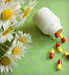 Bottle of allergy capsules and daisies