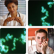 Collage of people and Neisseria gonorrhoeae.