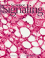Science Signaling Cover