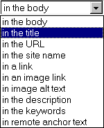 where to search menu, in the body, in the URL, in the site name, in a link, in an image link, in an image alt text, in the description, in the keywords, in remote anchor text