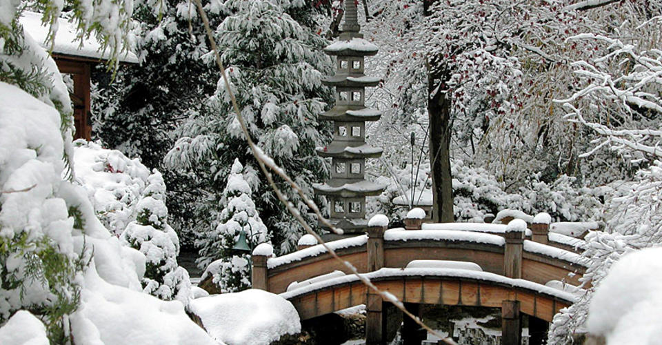 Japanese-style garden at Hillwood in the snow