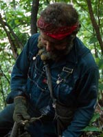 Man examining a ginseng root.