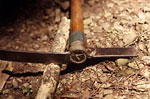 Detail of a hoe used for digging for ginseng root.