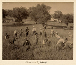 Group of people working in a field