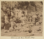 A group of men and women at a picnic