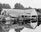 Photograph of an old barn on  the Lake of the Great Dismal swamp.