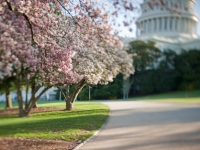 Capitol Grounds