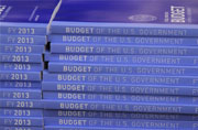 Budget of the U.S. Government FY 201