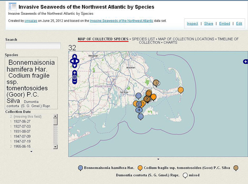 Viewshare View of Invasive Seaweeds of the Northwest Atlantic by Species