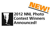 NNL Photo Winner Announced