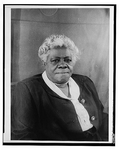 Mary McCleod Bethune portrait