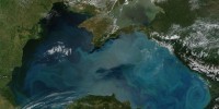Submarine Eruption in the Black Sea off Georgia Not Likely