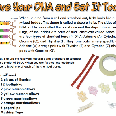 Photo: Delicious DNA anyone? With thanks to the University of Utah! Instructions are at http://qoo.ly/5mx2