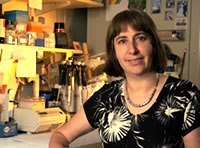 Photo: Check out the new GenomeTV video on the Genetics of Parkinson's Disease. Ellen Sidransky, M.D., from NHGRI's Medical Genetics Branch, explains how studies of rare diseases provide an important window into common complex disorders. http://qoo.ly/5my5